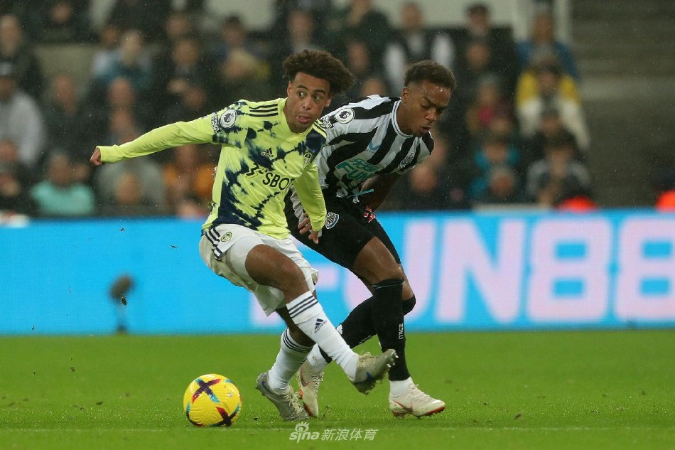 能否保级 能否保级