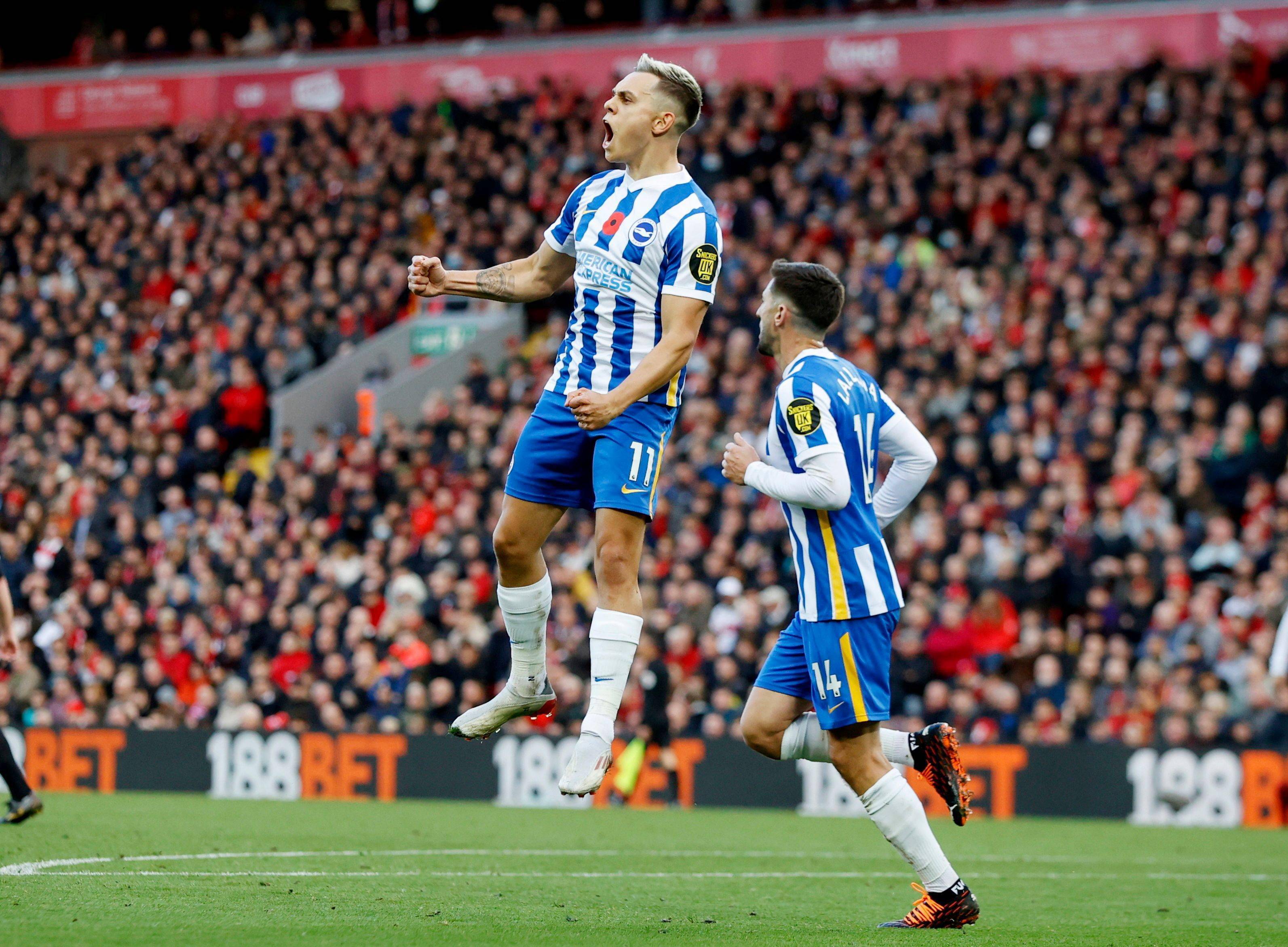 迎来阵容上 迎来阵容上