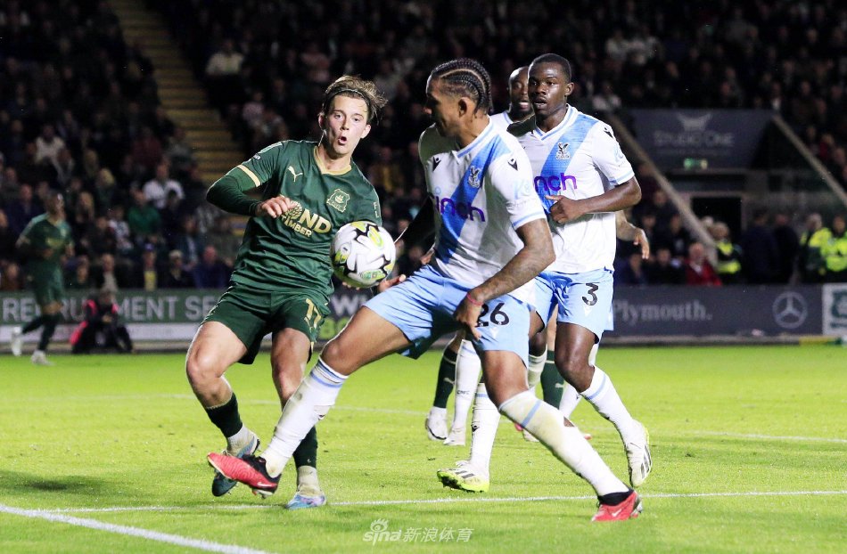 综合状态 综合状态